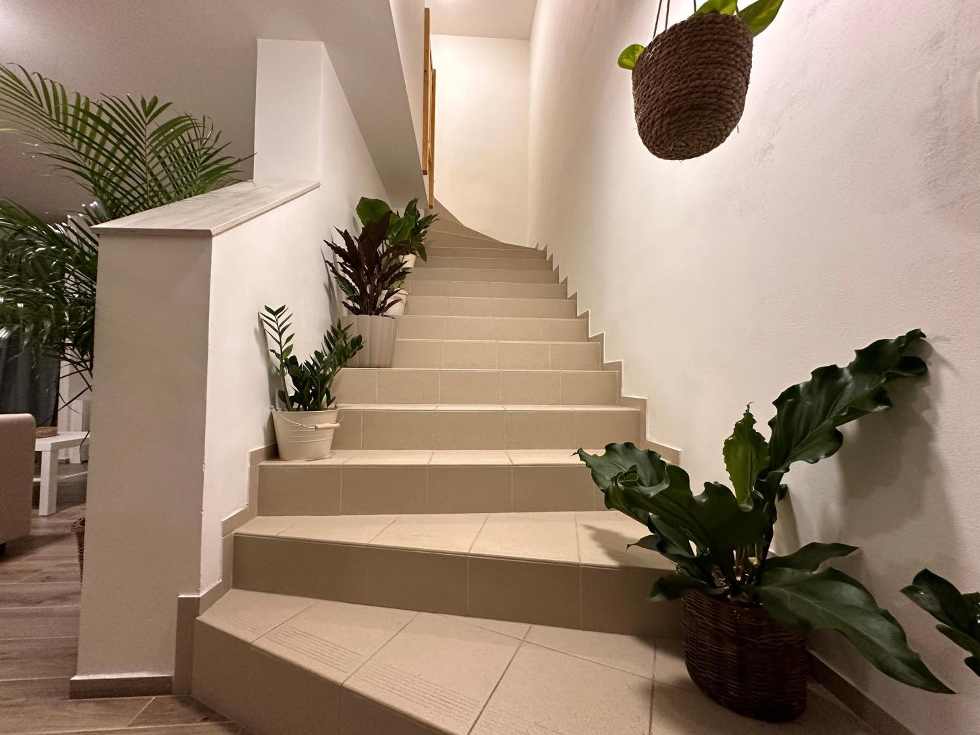 Apartmany Monastery Suites Zirec Двур-Кралове-над-Лабем Экстерьер фото