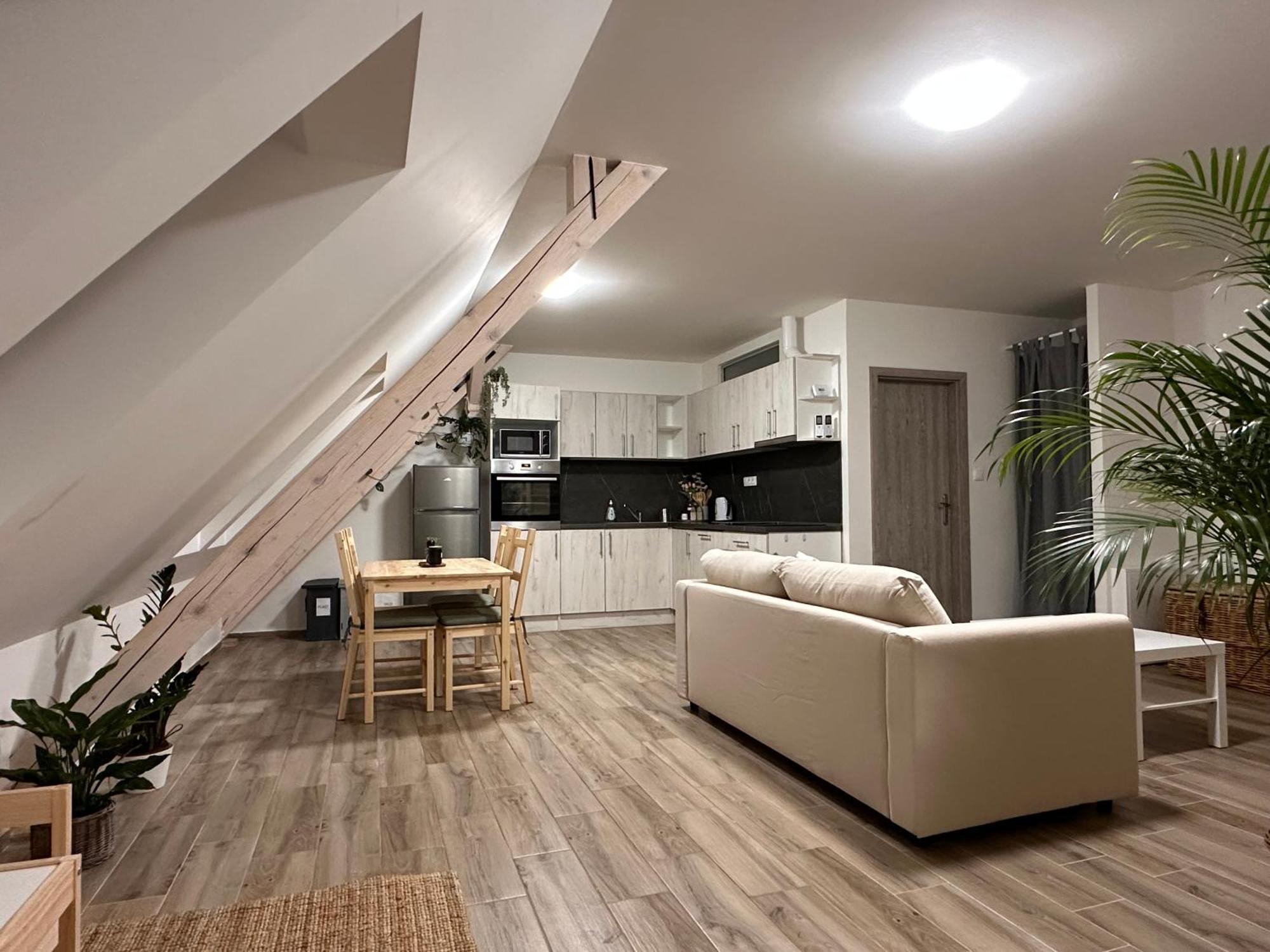 Apartmany Monastery Suites Zirec Двур-Кралове-над-Лабем Экстерьер фото